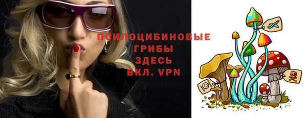 хмурый Мегион