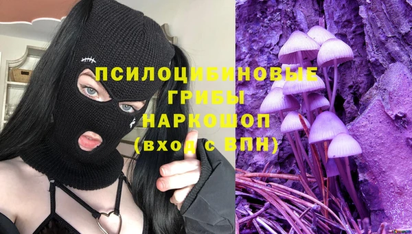 стафф Алексеевка