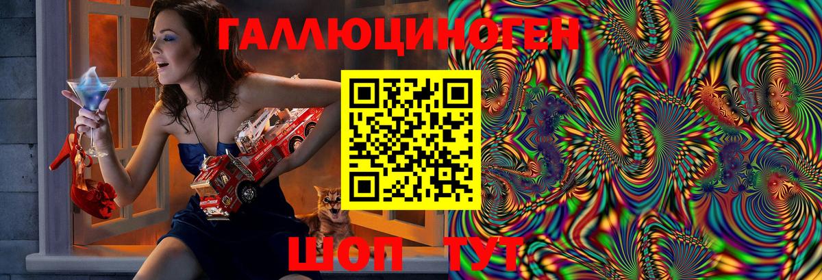 Волжский  Псилоцибиновые грибы прущие грибы  Вход с VPN  Галлюциногенные грибы GOLDEN TEACHER 