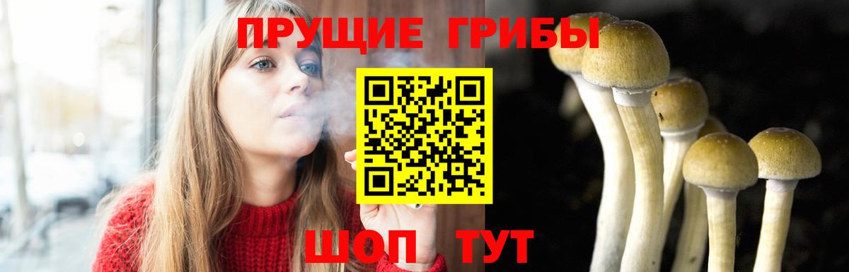 Галлюциногенные грибы MAGIC MUSHROOMS Волжский